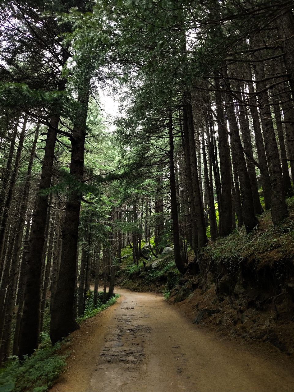 Dalhousie Mountains